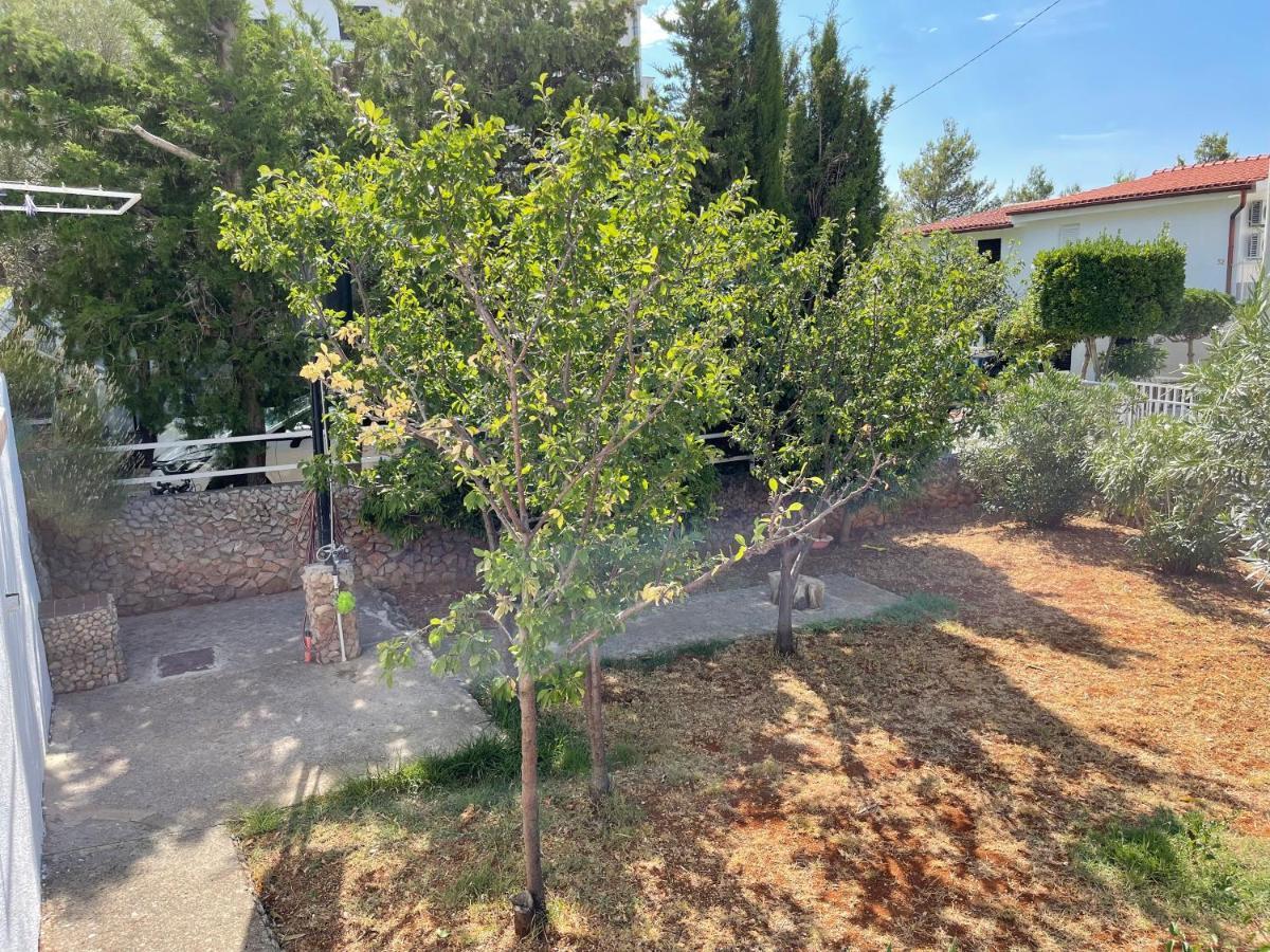 Apartmani Ficurin סטאריגרד-פקלניצה מראה חיצוני תמונה